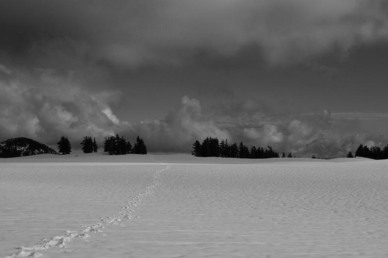 gallery/southSister_059.jpg