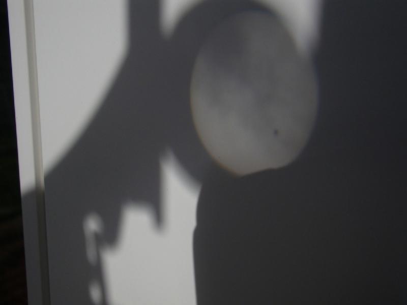 gallery/venus_005.jpg