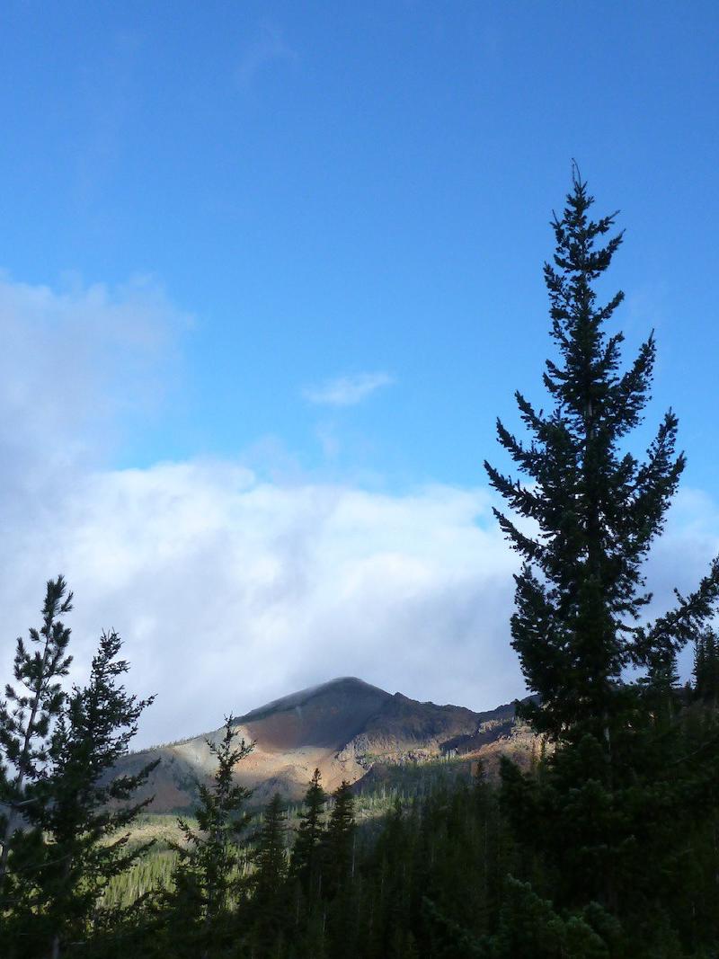 gallery/ingalls_014.jpg