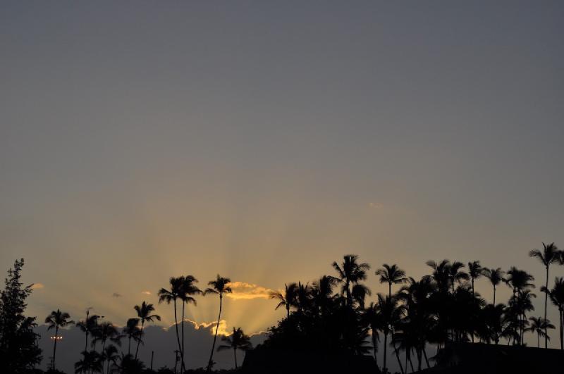 gallery/hawaii_022.jpg