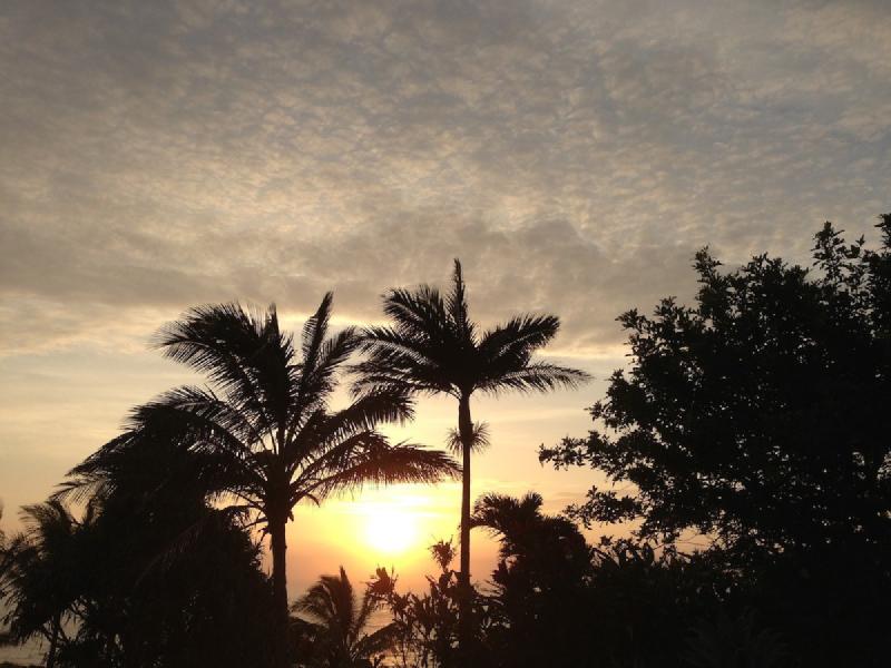 gallery/hawaii_088.jpg