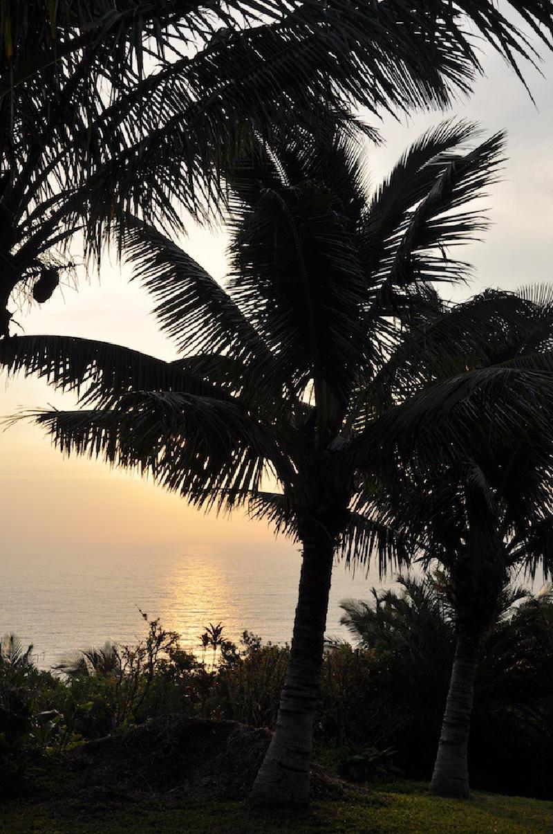 gallery/hawaii_158.jpg