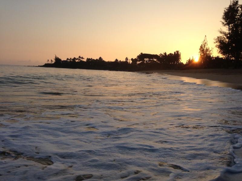gallery/hawaii_280.jpg