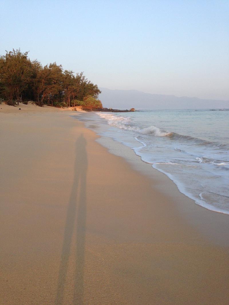 gallery/hawaii_291.jpg