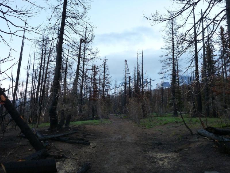 gallery/mtAdamsJune_02.jpg
