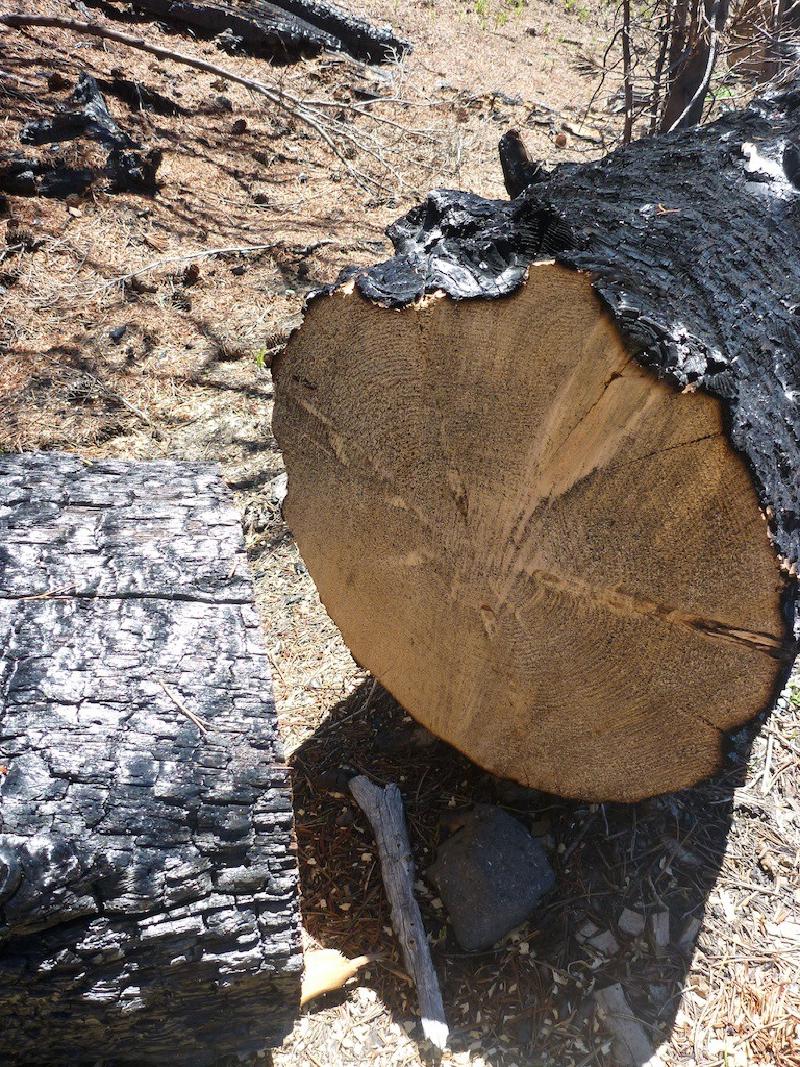 gallery/mtAdamsJune_35.jpg