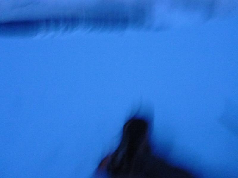 gallery/hoodSolo_52.jpg