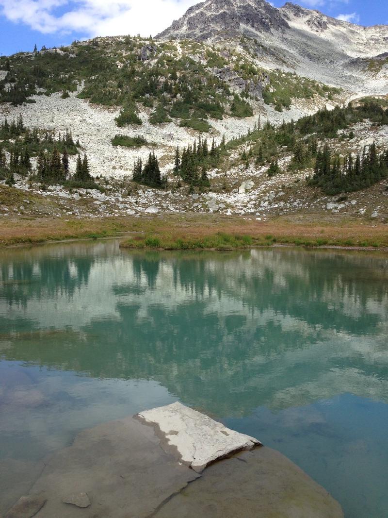 gallery/whistler_056.jpg