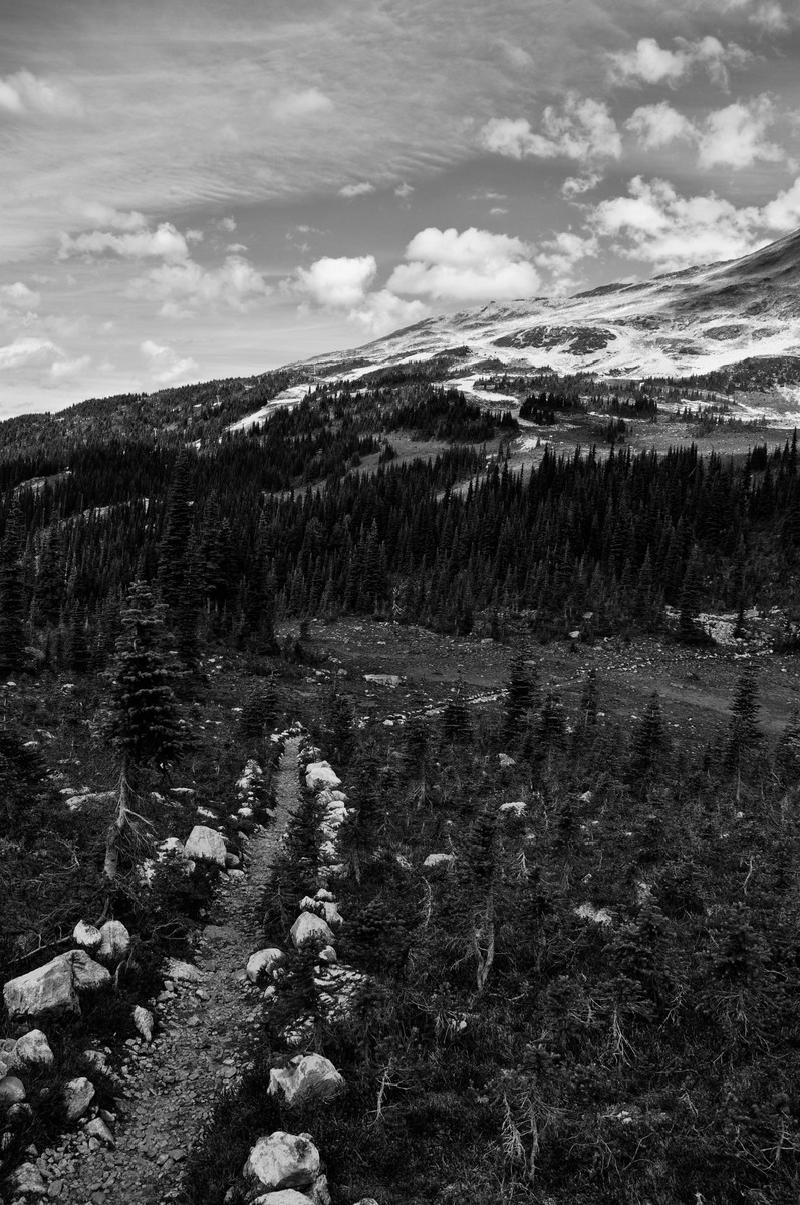 gallery/whistler_065.jpg