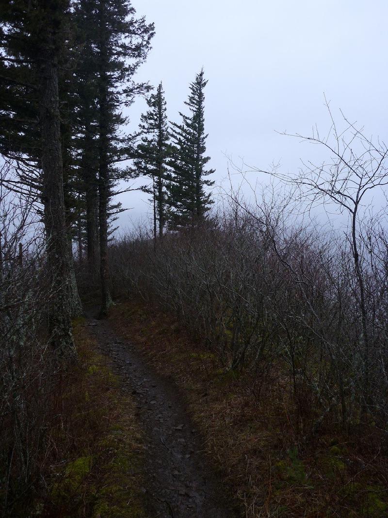 gallery/angelsRest_08.jpg