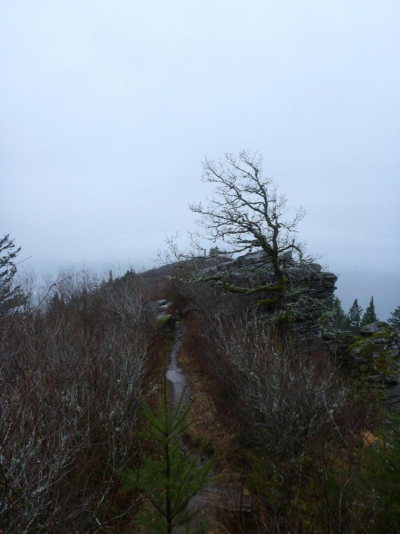 gallery/angelsRest_09.jpg