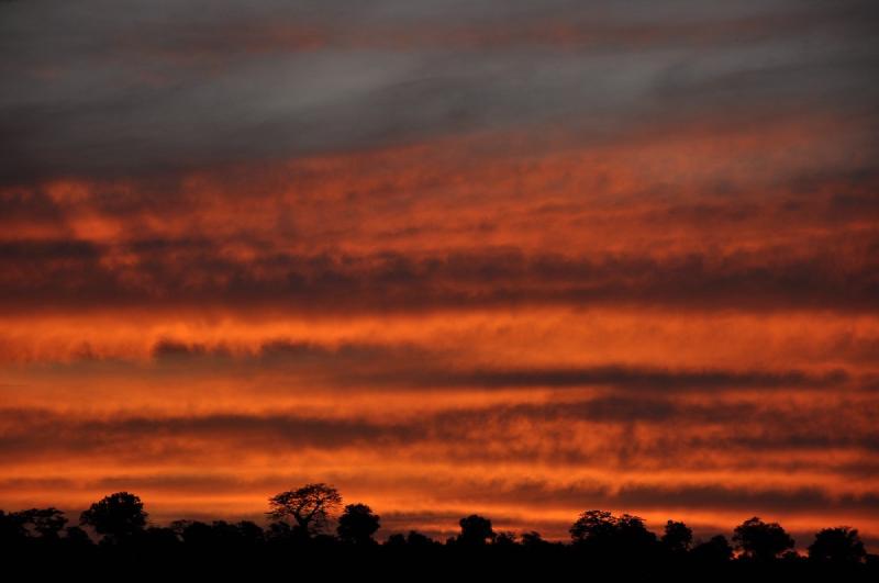 gallery/chiloGorge_035.jpg