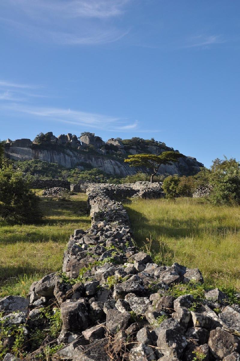 gallery/greatZim_011.jpg
