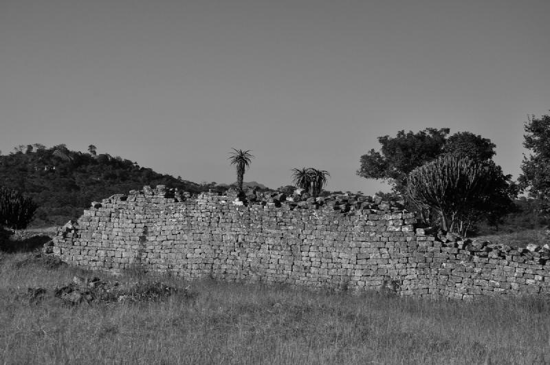 gallery/greatZim_013.jpg