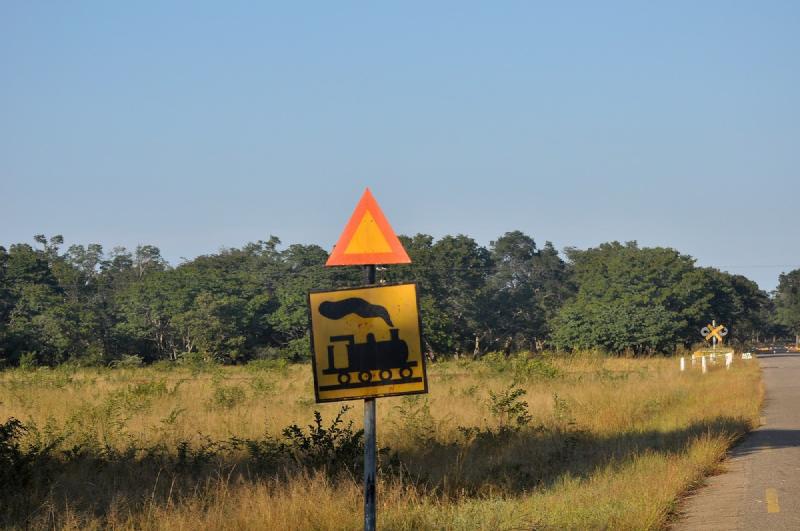 gallery/hwange3_018.jpg