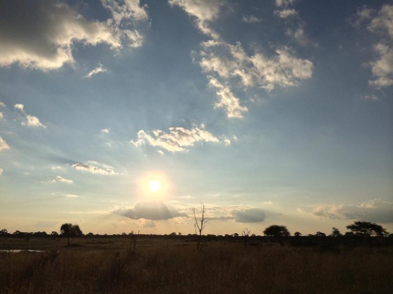 gallery/hwange3_563.jpg