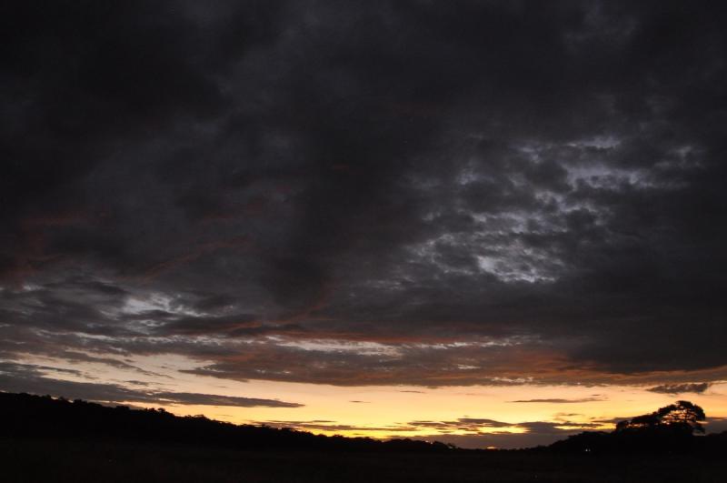 gallery/hwangeOne_186.jpg