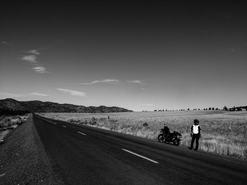 gallery/motoCondon_60-2.jpg