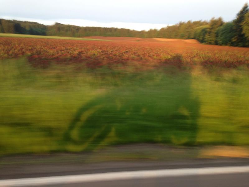 gallery/motoing_02.jpg