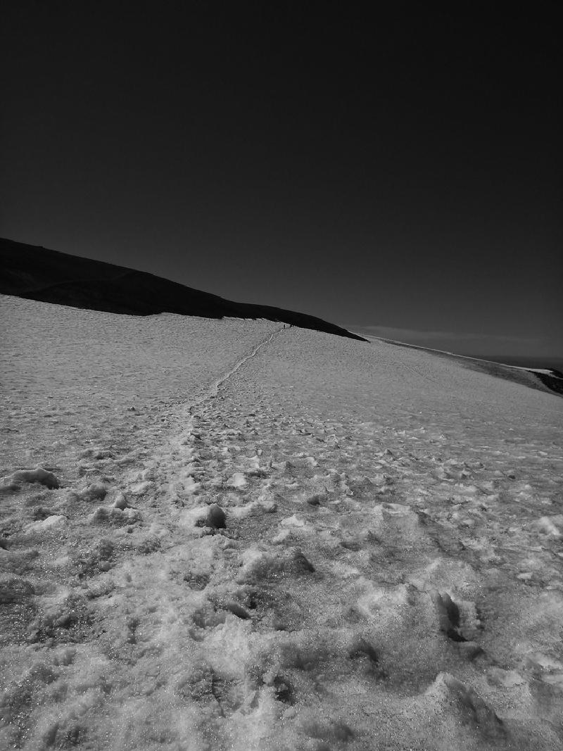gallery/adams_25.jpg