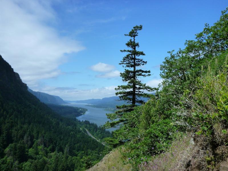 gallery/munraPoint_03.jpg