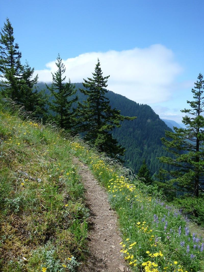 gallery/munraPoint_08.jpg