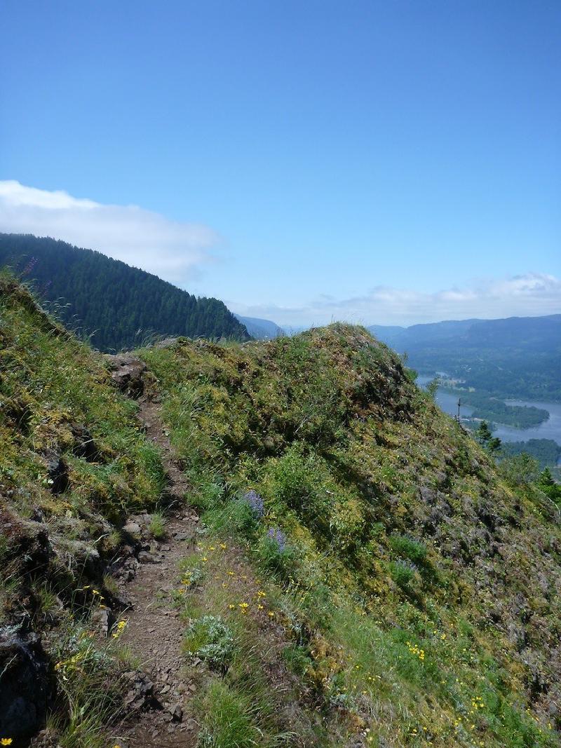 gallery/munraPoint_16.jpg