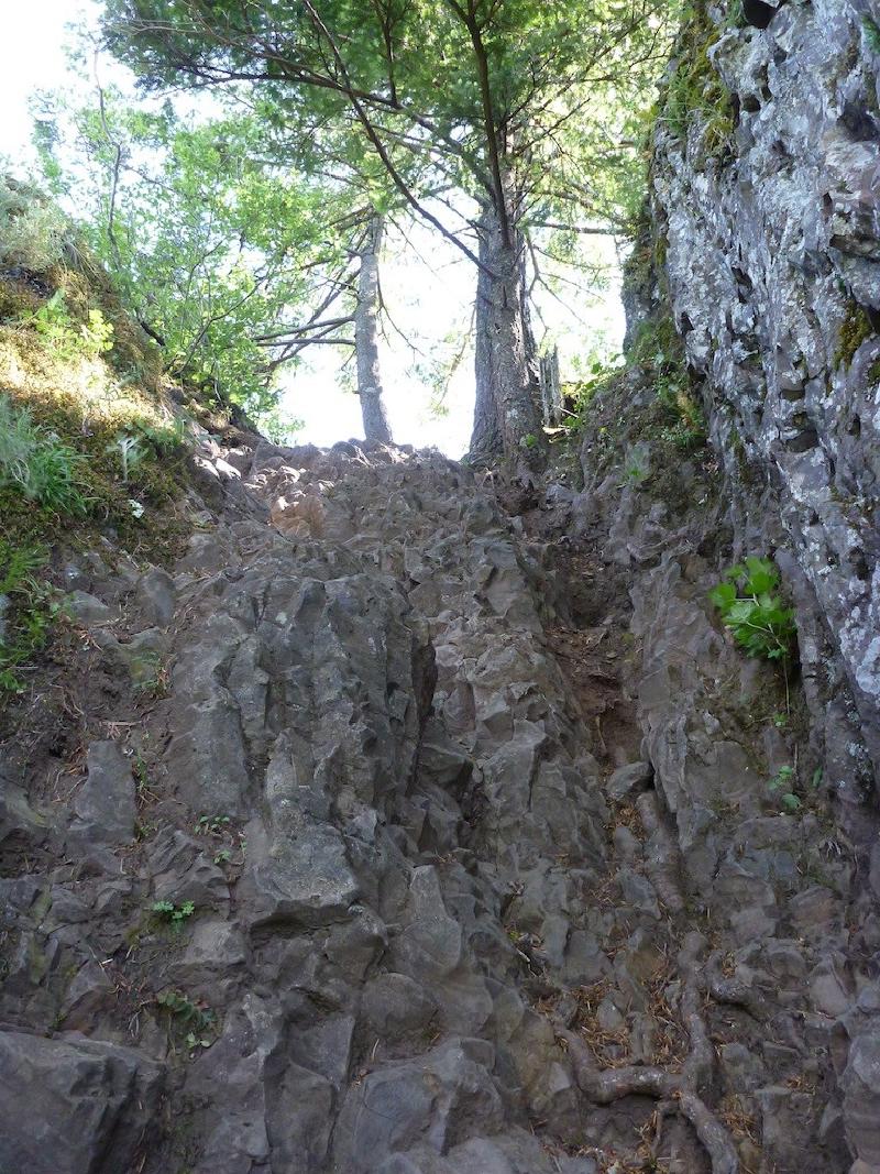 gallery/munraPoint_22.jpg
