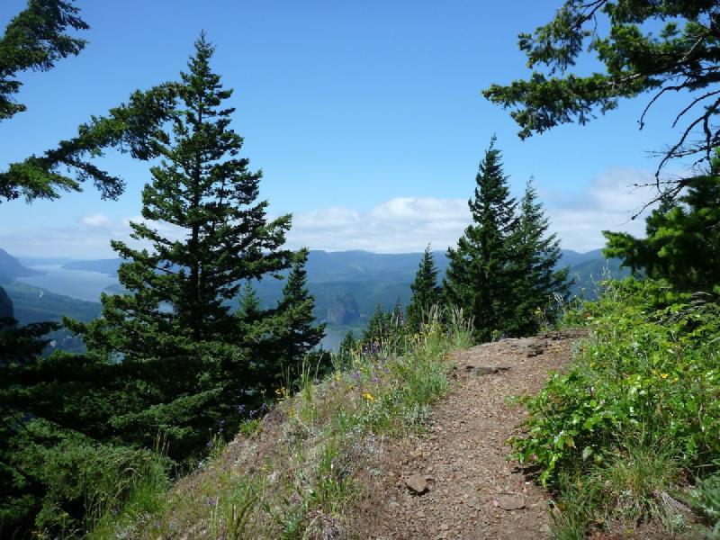 gallery/munraPoint_23.jpg