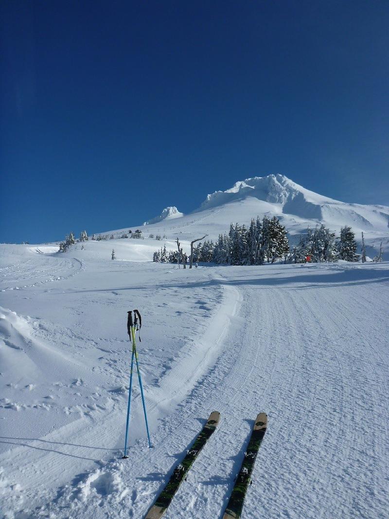 gallery/palmerApril_01.jpg
