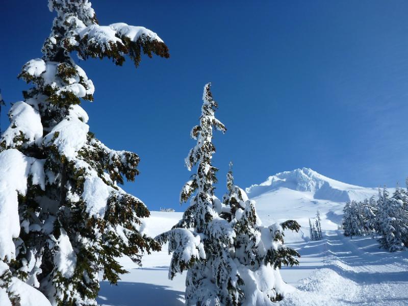 gallery/palmerApril_04.jpg