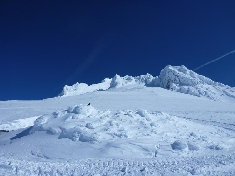 gallery/palmerApril_10.jpg
