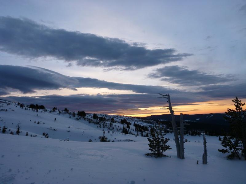 gallery/palmer_09.jpg