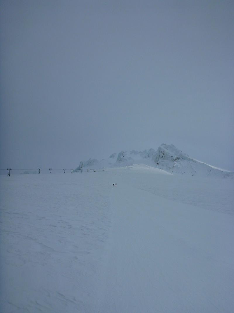 gallery/palmer_15.jpg
