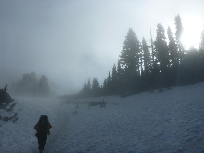 gallery/rainier_155.jpg