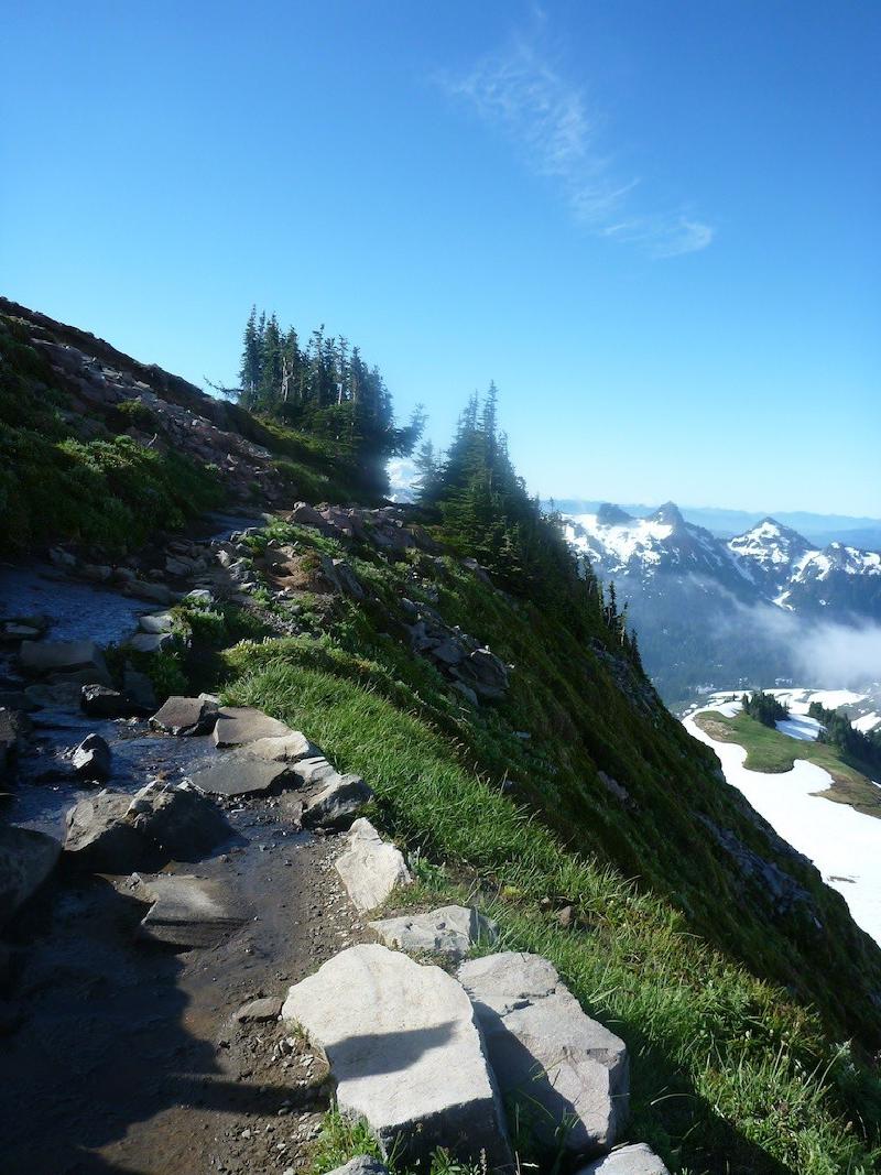 gallery/rainier_166.jpg