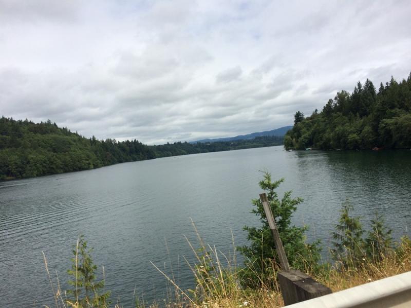 gallery/rainier_281.jpg