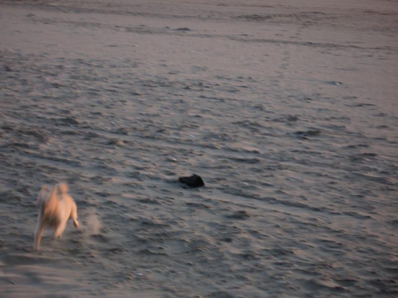 gallery/rocky_02.jpg