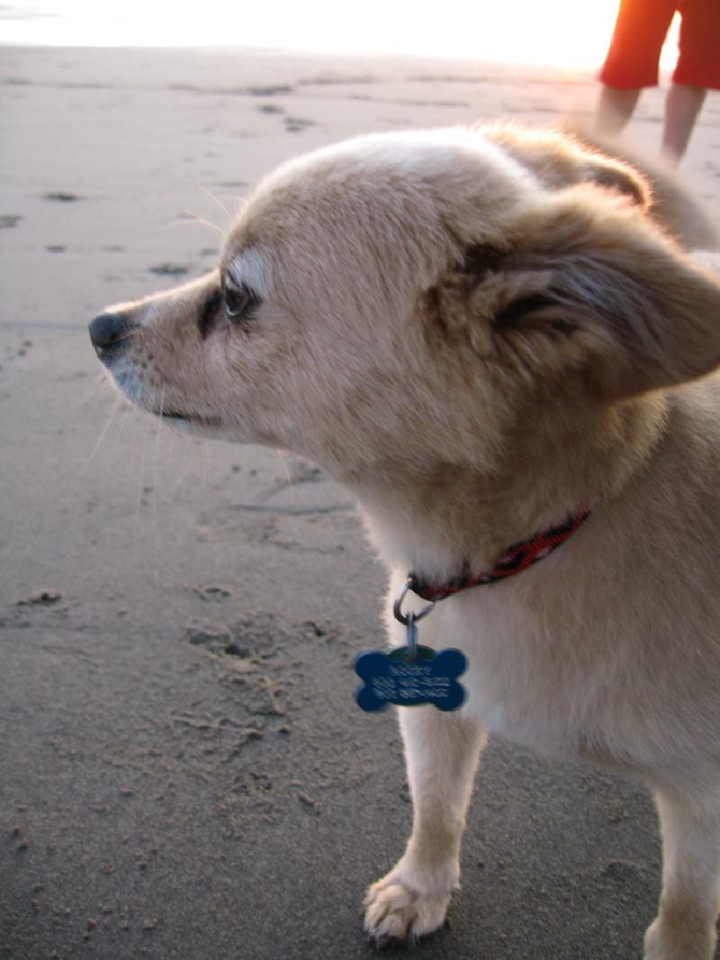 gallery/rocky_04.jpg