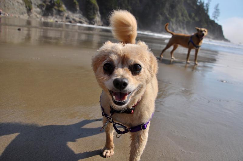 gallery/rocky_09.jpg