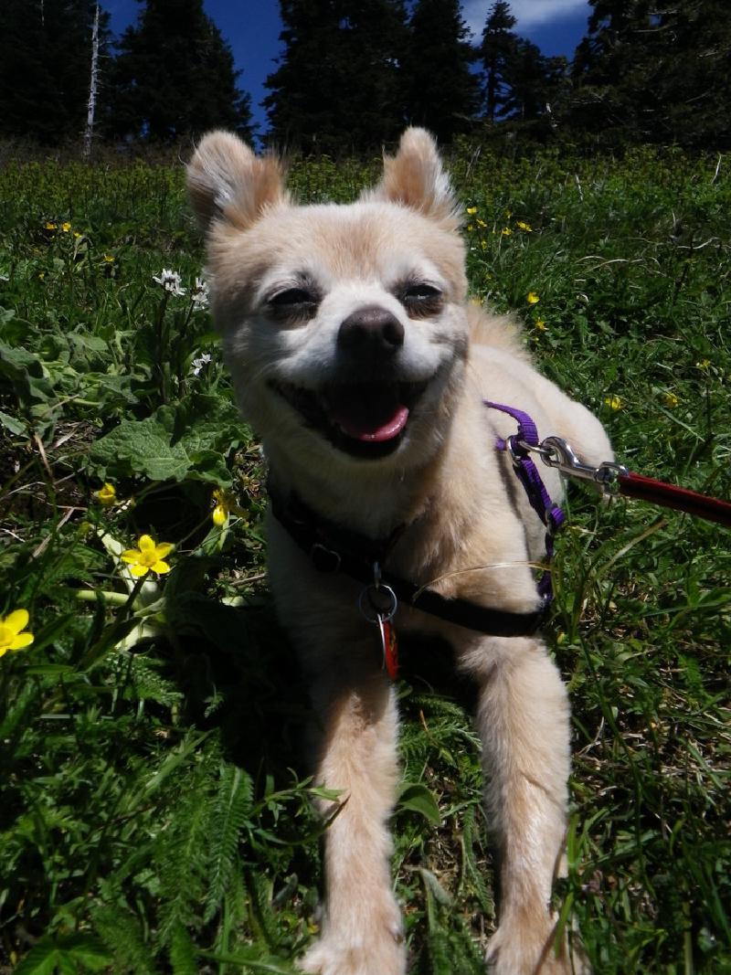 gallery/rocky_19.jpg