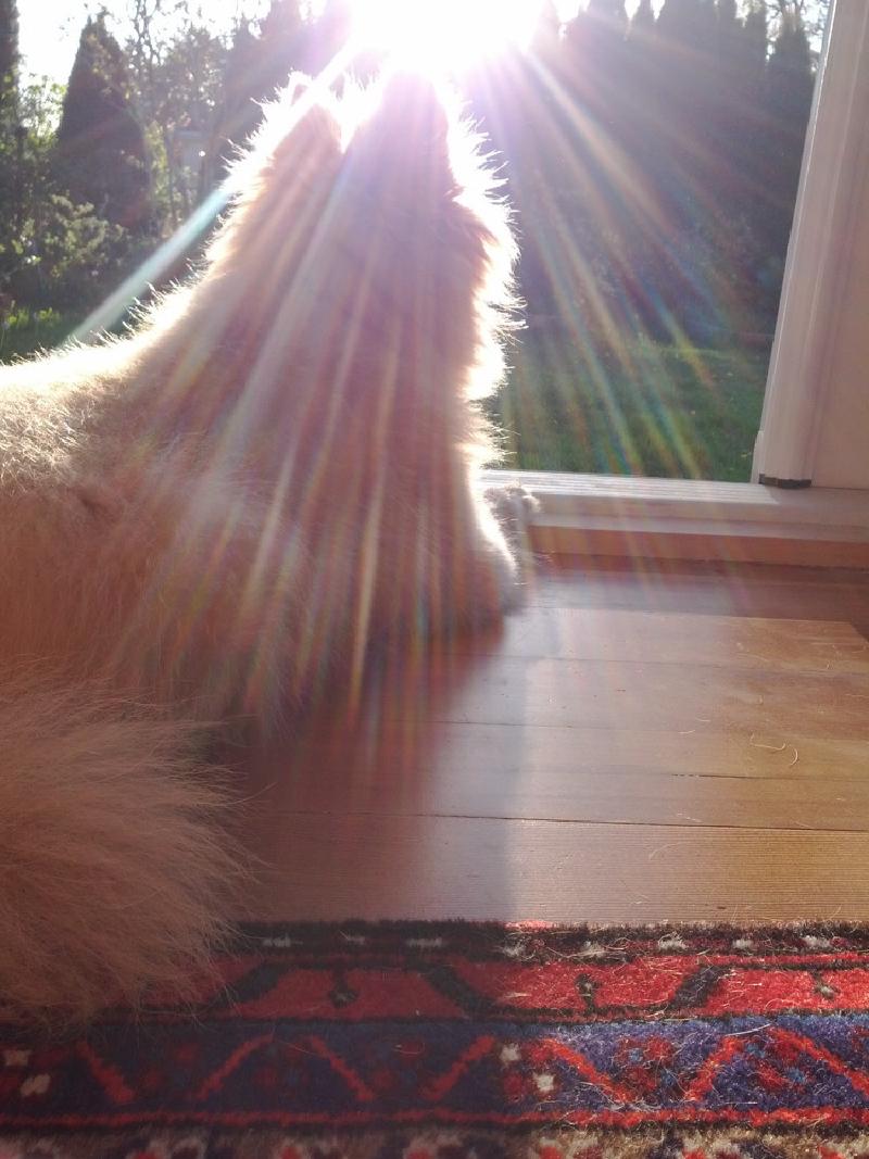 gallery/rocky_22.jpg