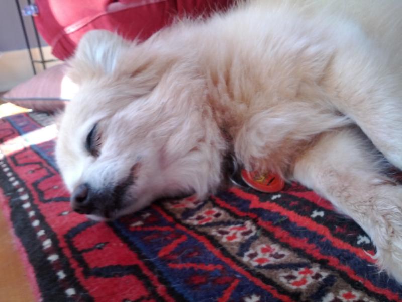 gallery/rocky_23.jpg