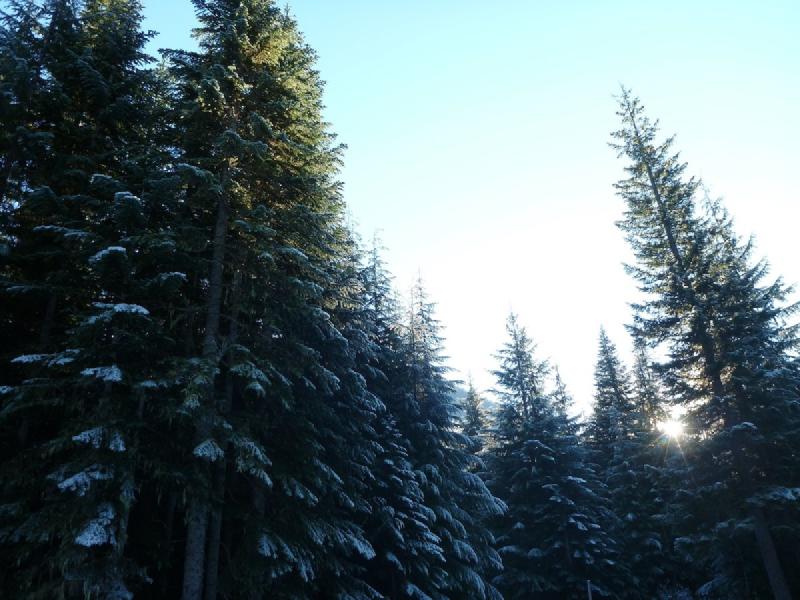 gallery/crossCountry_13.jpg