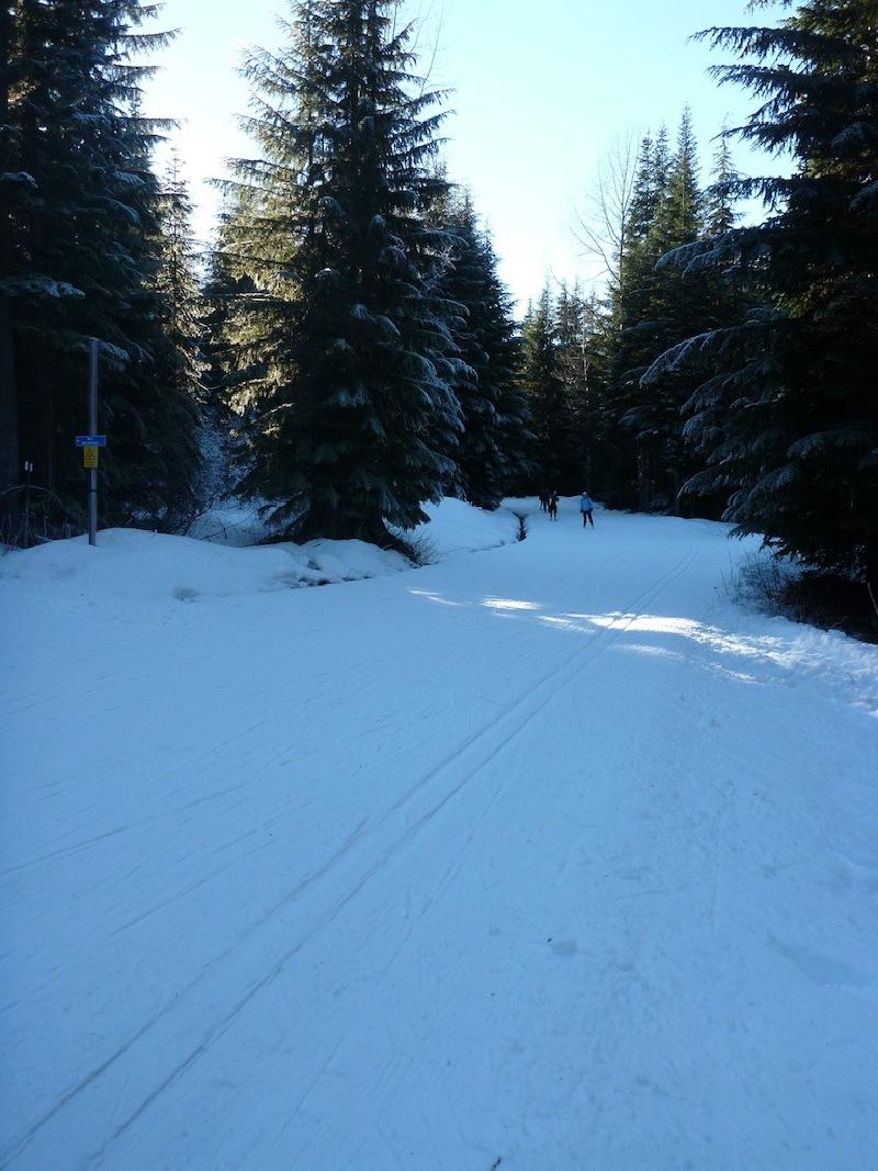 gallery/crossCountry_14.jpg
