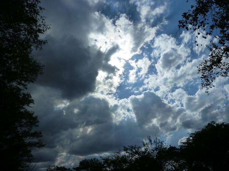 gallery/vicFalls_24.jpg