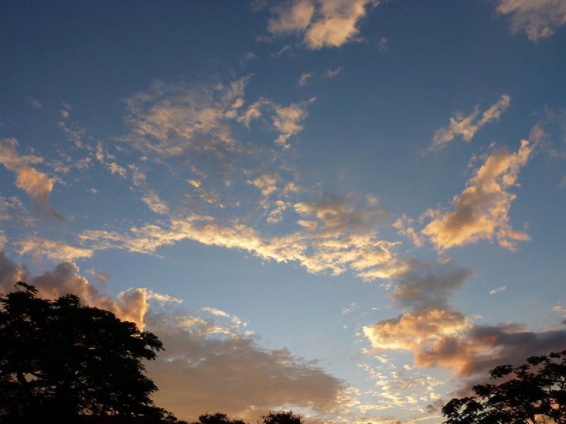 gallery/vicFalls_55.jpg