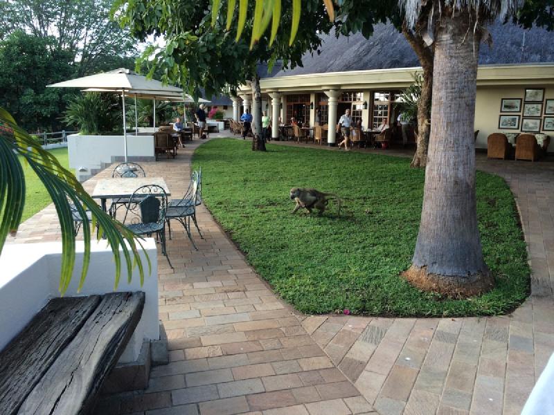 gallery/vicFalls_60.jpg