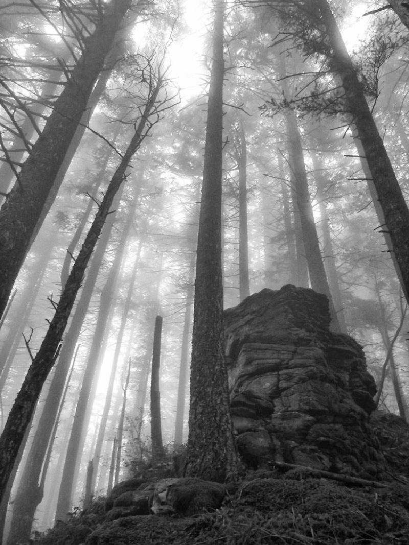 gallery/devilsBackbone_17-Edit-2.jpg