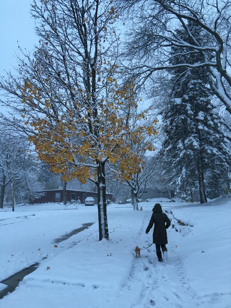 gallery/firstSnow_1.jpg